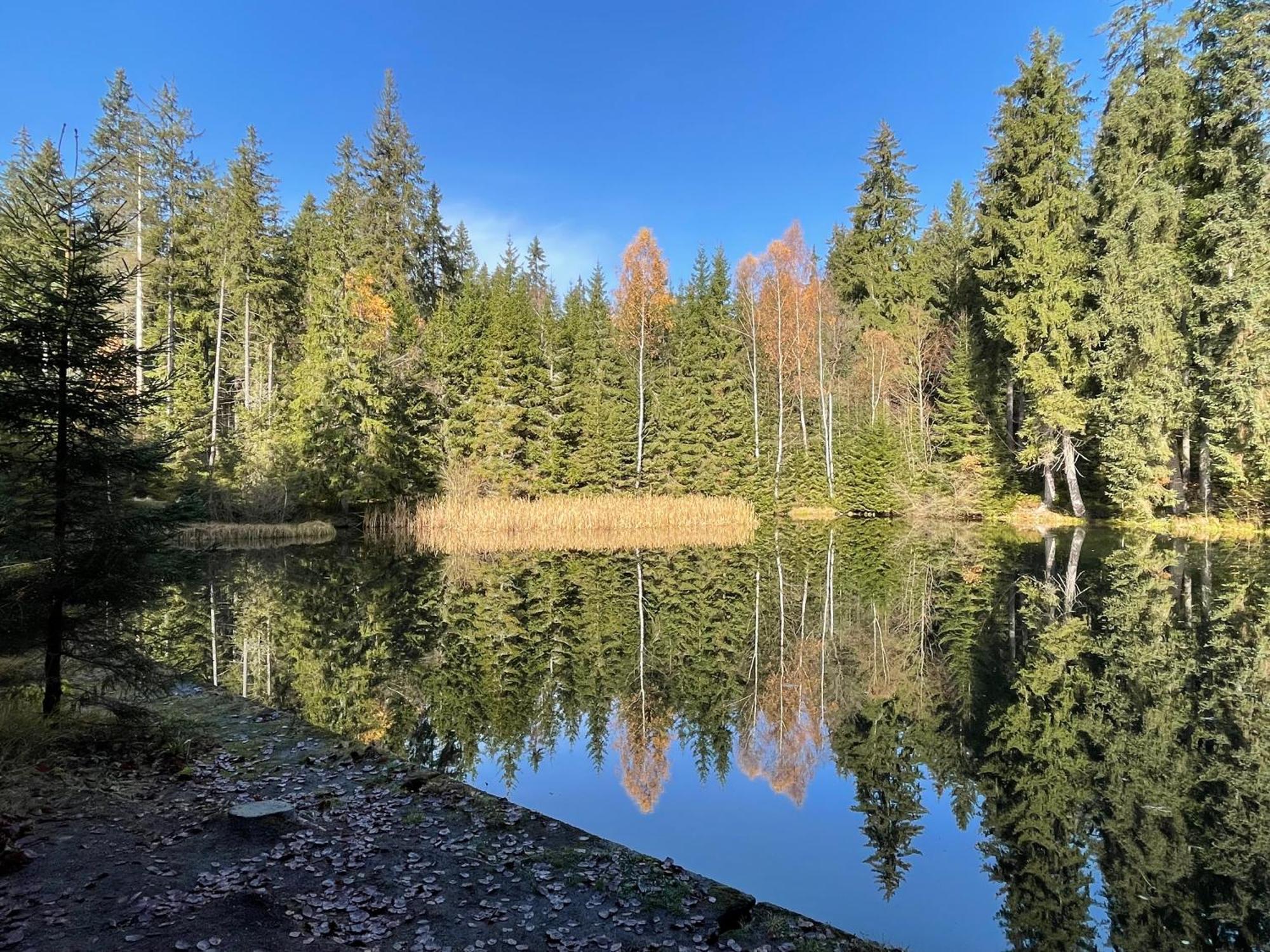 Chalupa U Krize Harrachov Esterno foto