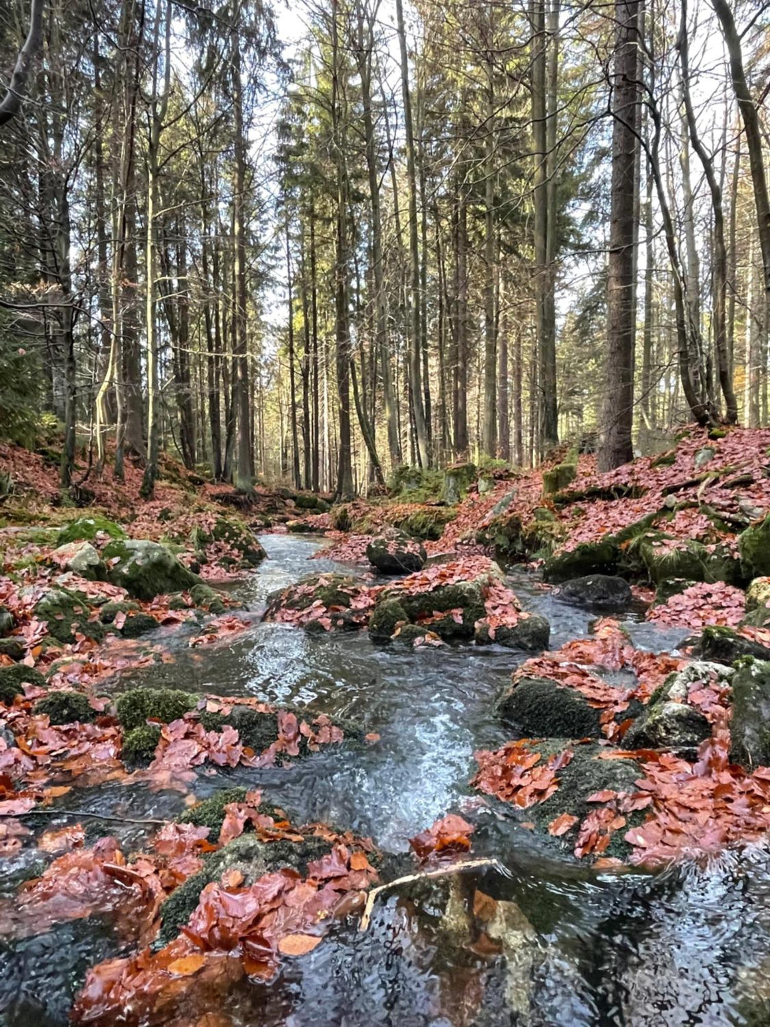 Chalupa U Krize Harrachov Esterno foto